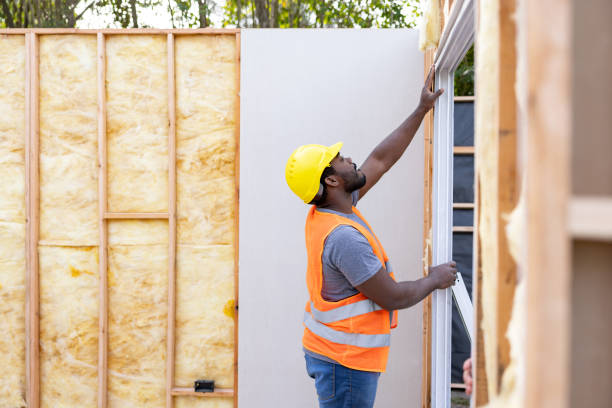 Best Attic Insulation Installation  in Frazee, MN