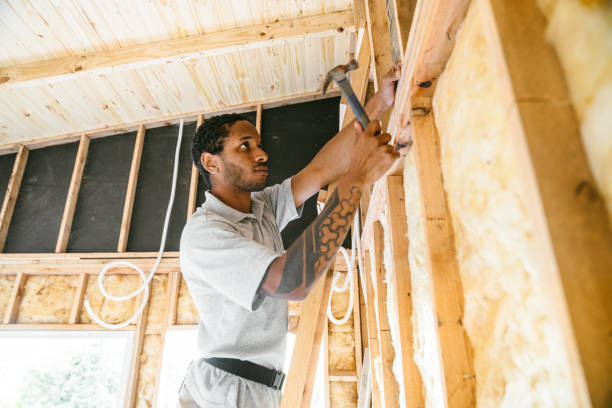 Best Insulation for New Construction  in Frazee, MN