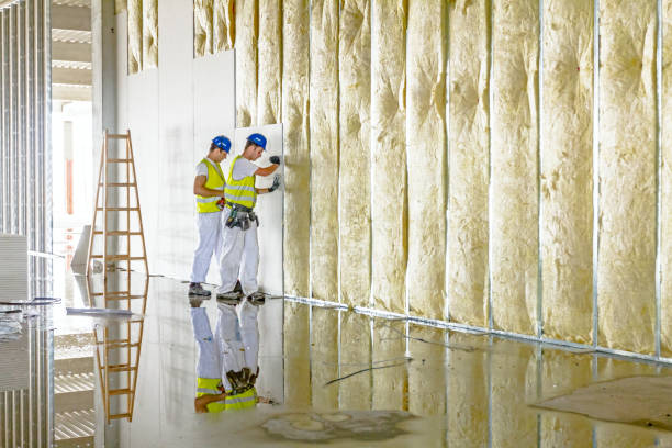 Best Blown-in Insulation  in Frazee, MN